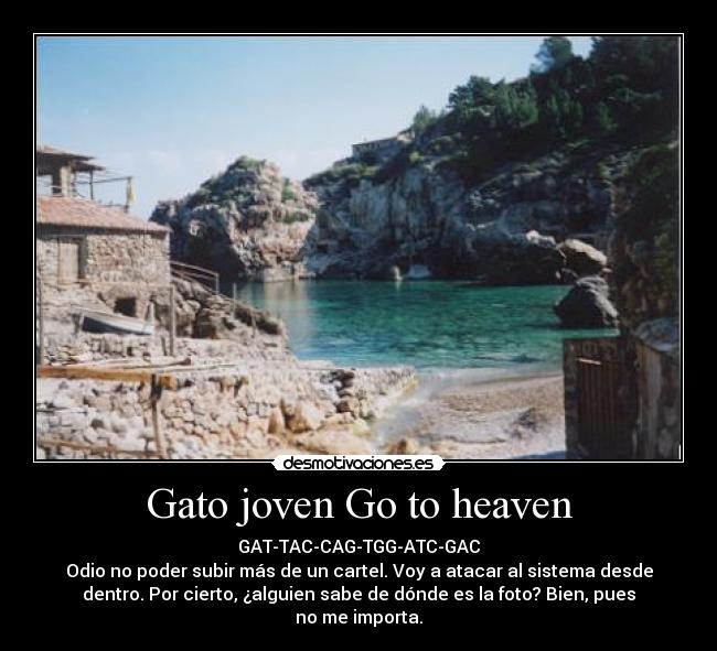 Gato joven Go to heaven - GAT-TAC-CAG-TGG-ATC-GAC
Odio no poder subir más de un cartel. Voy a atacar al sistema desde
dentro. Por cierto, ¿alguien sabe de dónde es la foto? Bien, pues
no me importa.