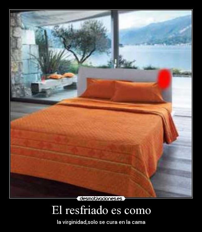 El resfriado es como - la virginidad,solo se cura en la cama