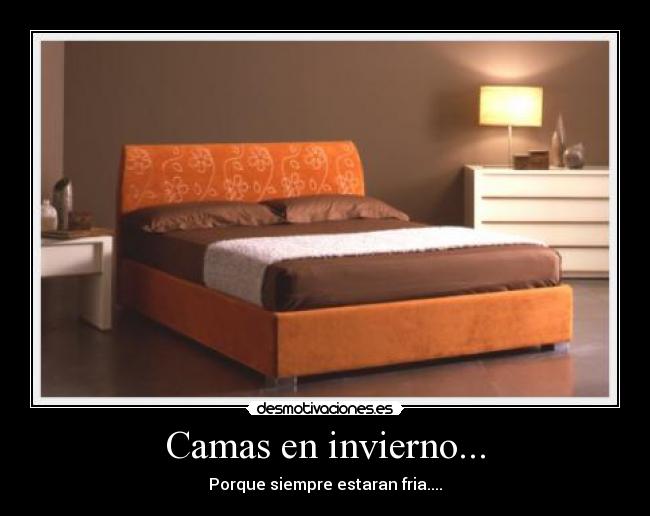 Camas en invierno... -