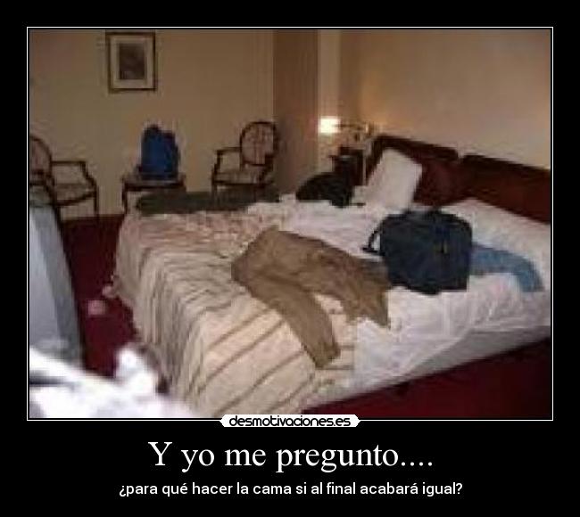 Y yo me pregunto.... -