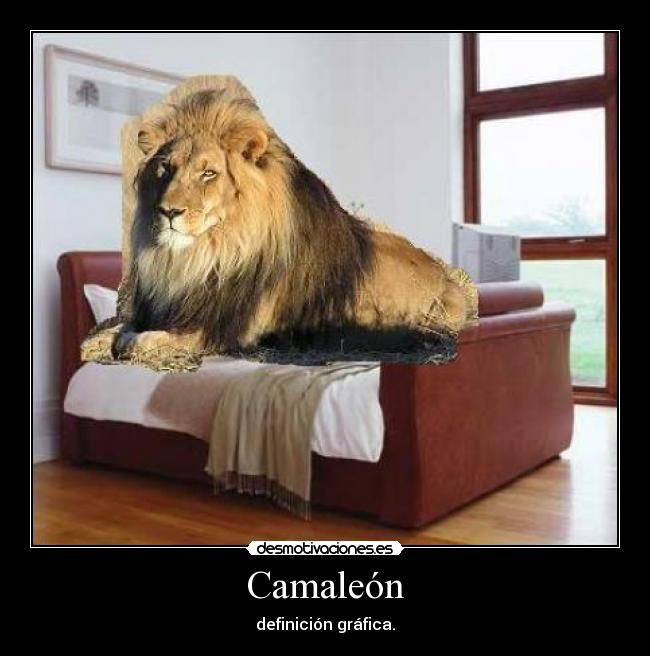 Camaleón - definición gráfica.