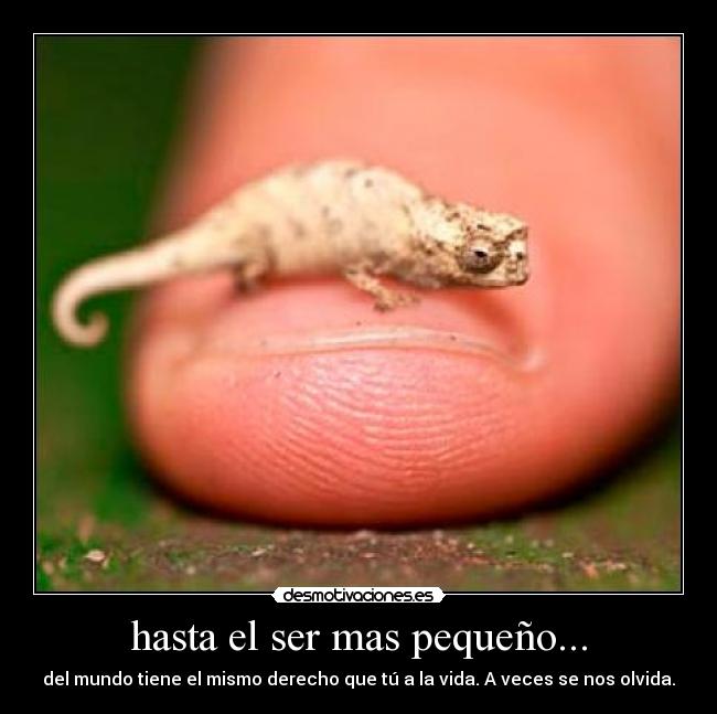 hasta el ser mas pequeño... -