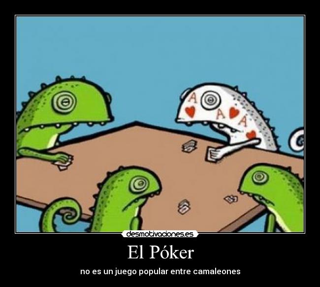 El Póker - no es un juego popular entre camaleones