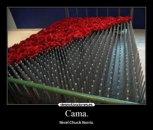 carteles chuck norris desmotivaciones