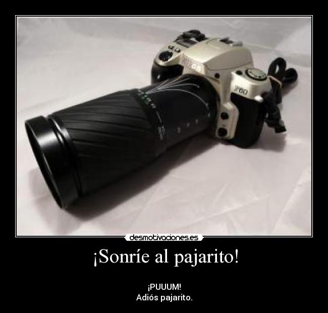 ¡Sonríe al pajarito! - 