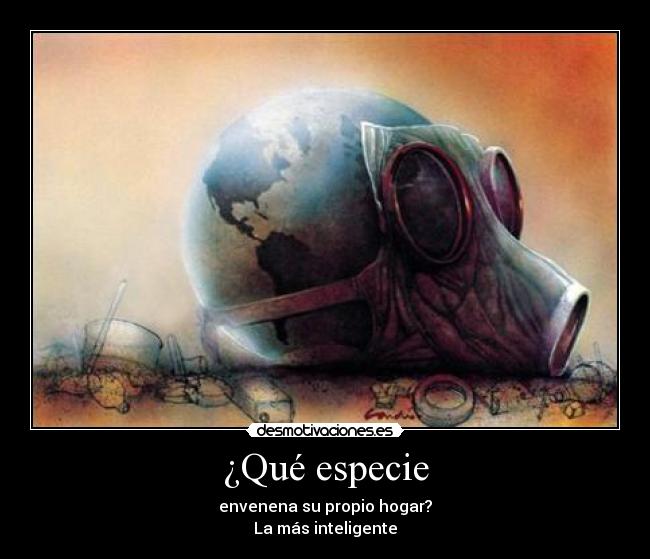 ¿Qué especie - envenena su propio hogar?
La más inteligente