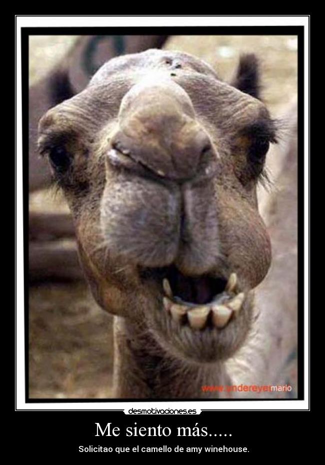 Me siento más..... -