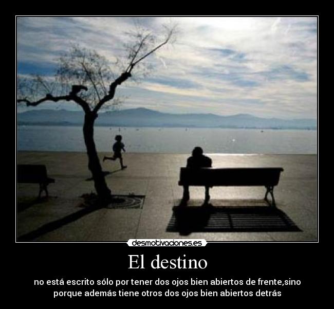 El destino - no está escrito sólo por tener dos ojos bien abiertos de frente,sino
porque además tiene otros dos ojos bien abiertos detrás