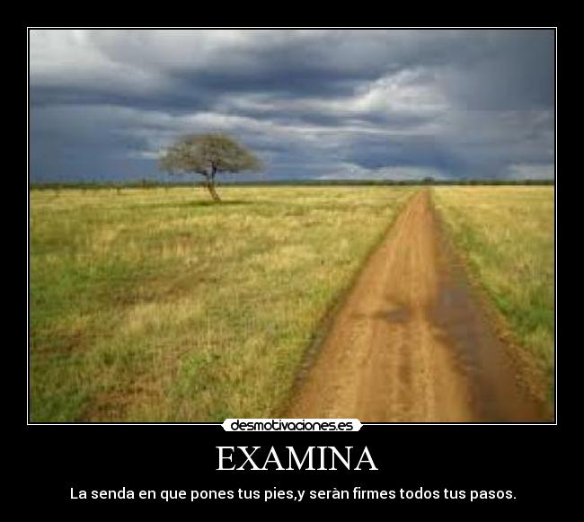 EXAMINA - La senda en que pones tus pies,y seràn firmes todos tus pasos.