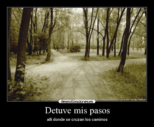 carteles detuve desmotivaciones