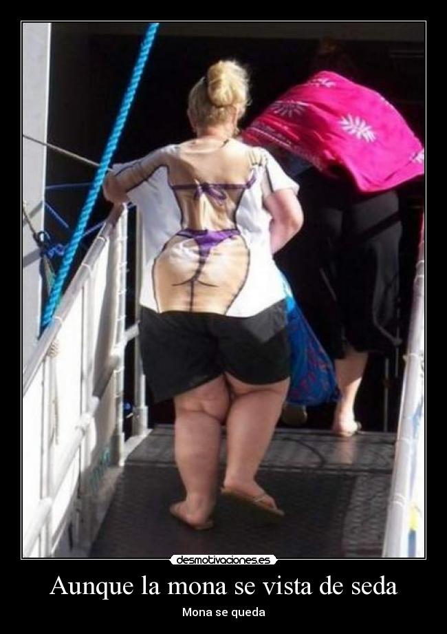 Aunque la mona se vista de seda - 