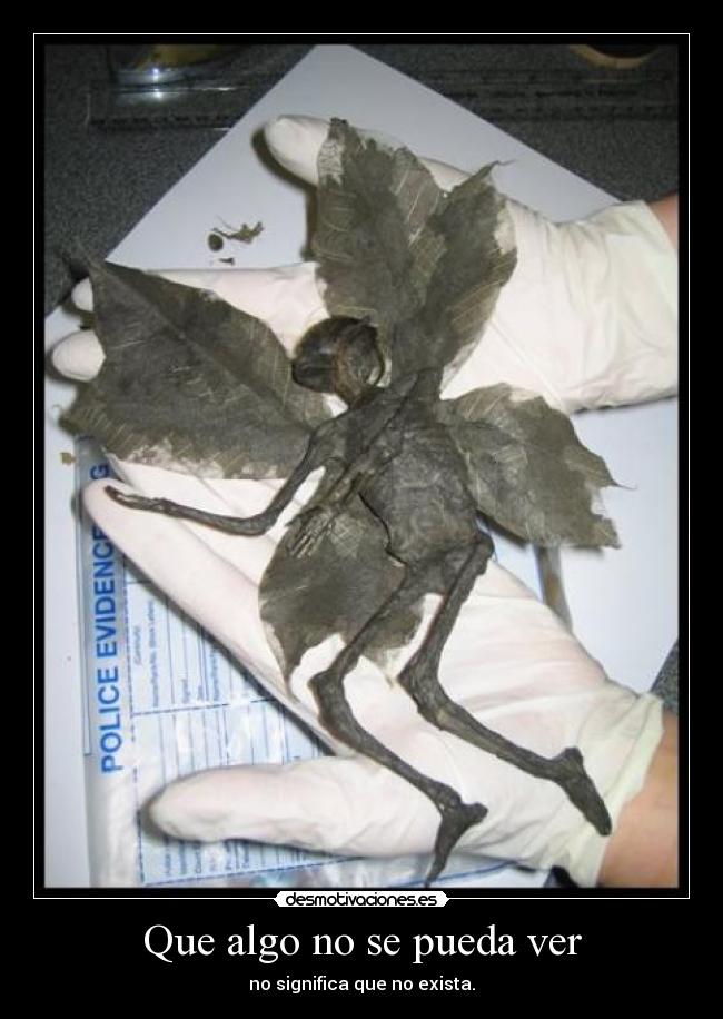 Que algo no se pueda ver -