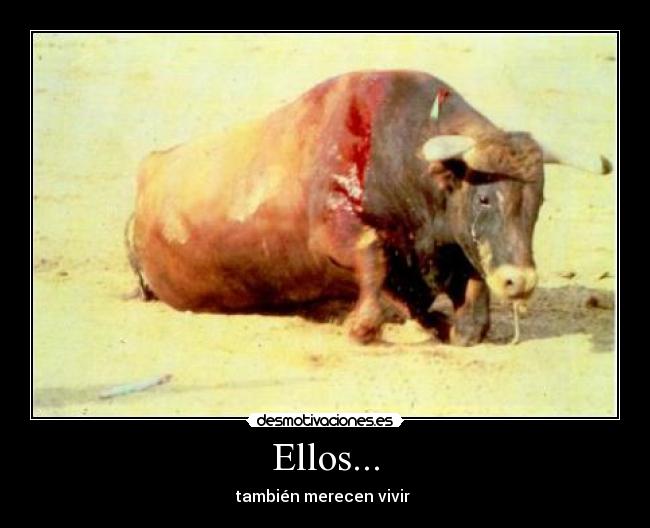 Ellos... -