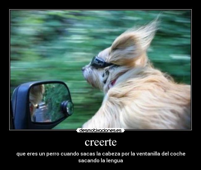 creerte -