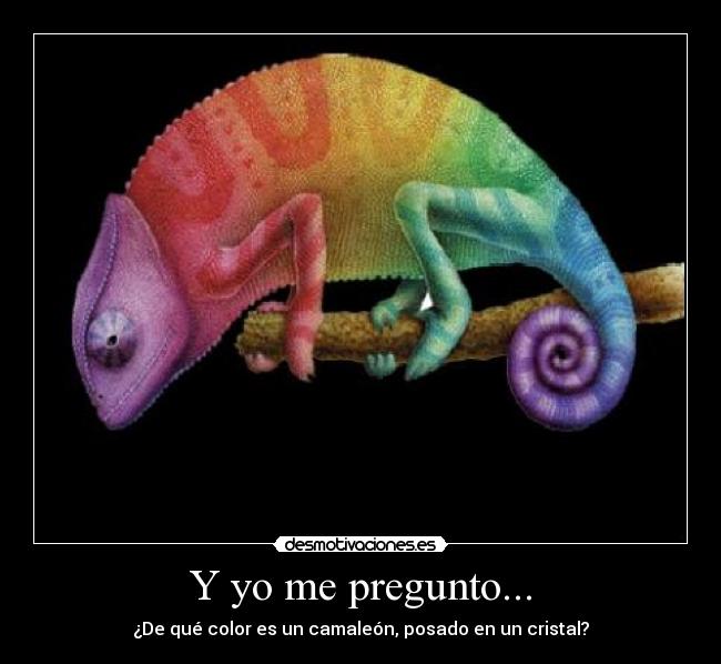 Y yo me pregunto... - ¿De qué color es un camaleón, posado en un cristal?