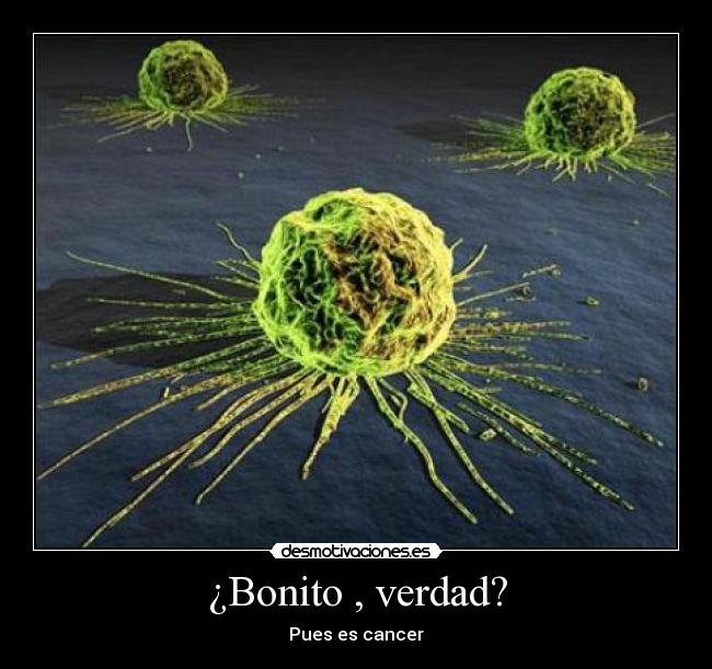 ¿Bonito , verdad? - 