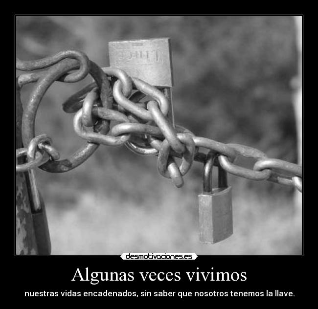 Algunas veces vivimos - 