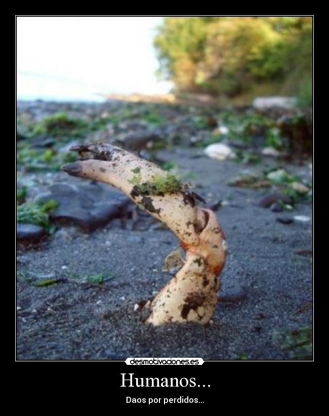 Humanos... -