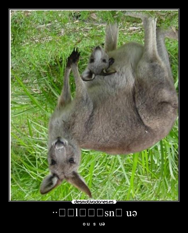 ··ɐᴉlɐɹʇsnɐ uә - oʇuɐʇ sɐɹʇuәᴉɯ