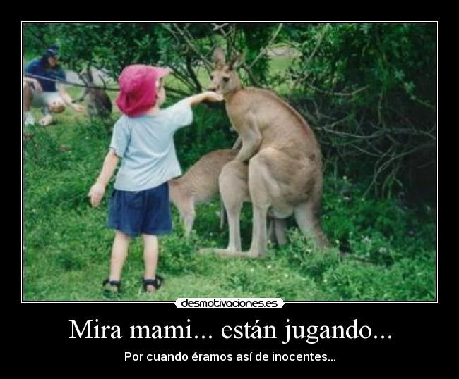 Mira mami... están jugando... -
