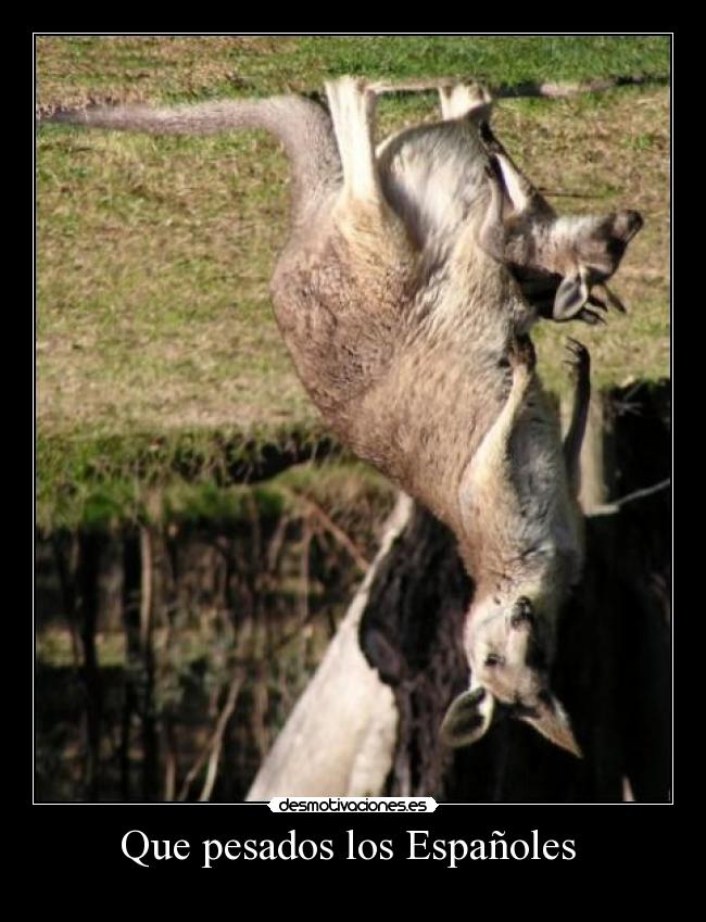 Que pesados los Españoles -
