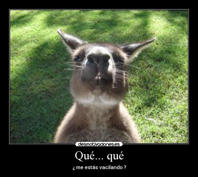 Qué... qué - ¿ me estás vacilando ?