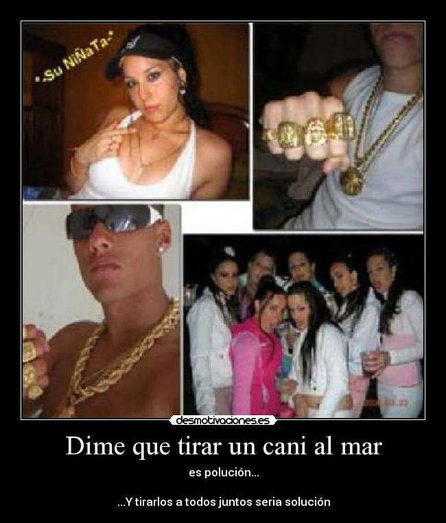 carteles canis polucion desmotivaciones