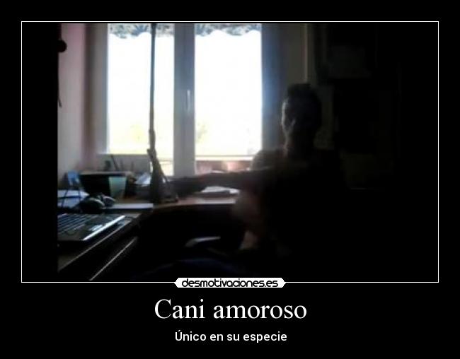 Cani amoroso - Único en su especie