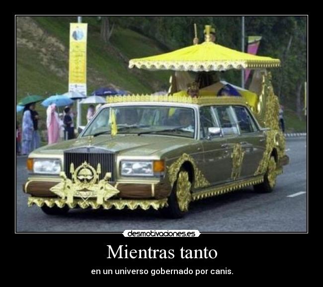 Mientras tanto - en un universo gobernado por canis.