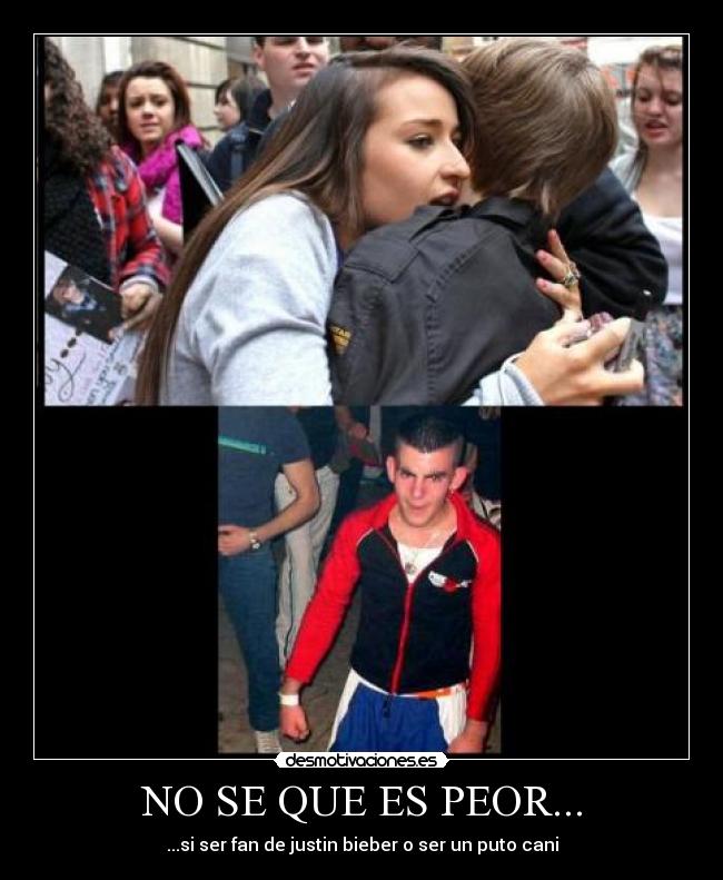 NO SE QUE ES PEOR... - ...si ser fan de justin bieber o ser un puto cani