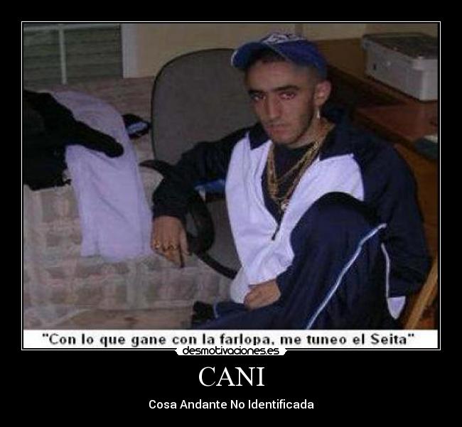 CANI - Cosa Andante No Identificada