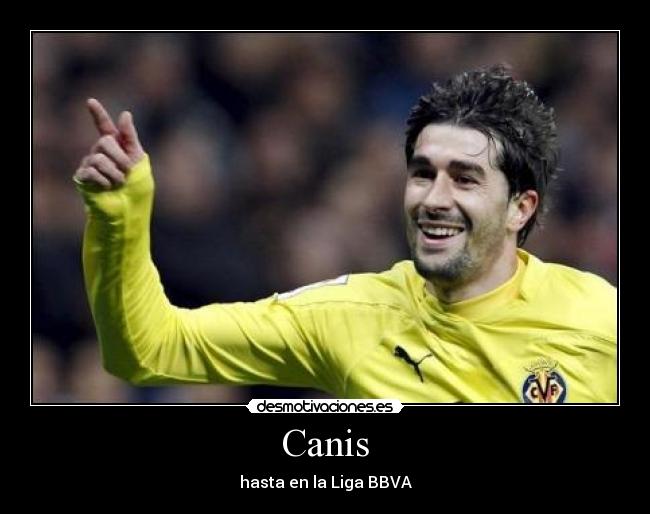 Canis - hasta en la Liga BBVA