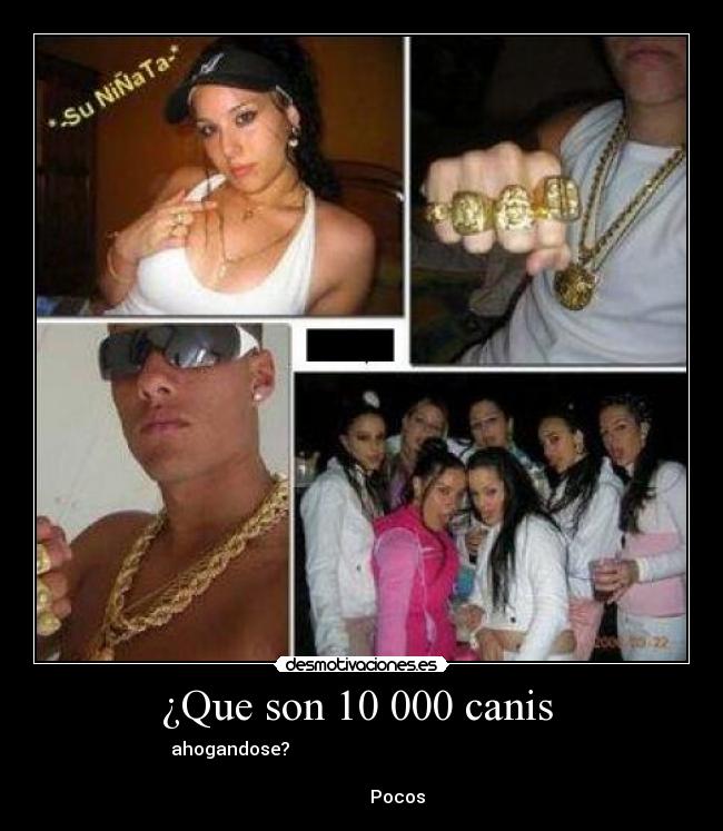 ¿Que son 10 000 canis  - ahogandose?                                                           
                                                                      
                Pocos