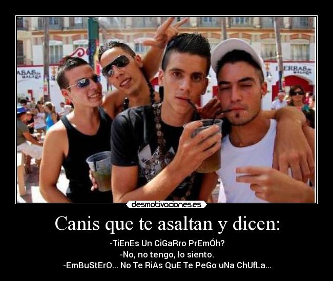 carteles canis cigarro desmotivaciones