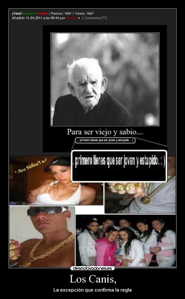 Los Canis, - La excepción que confirma la regla