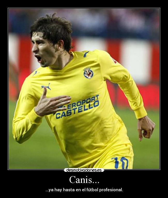Canis... - ...ya hay hasta en el fútbol profesional.