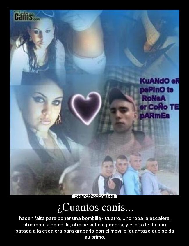 carteles canis descerebrados chonis bombilla escalera primo desmotivaciones