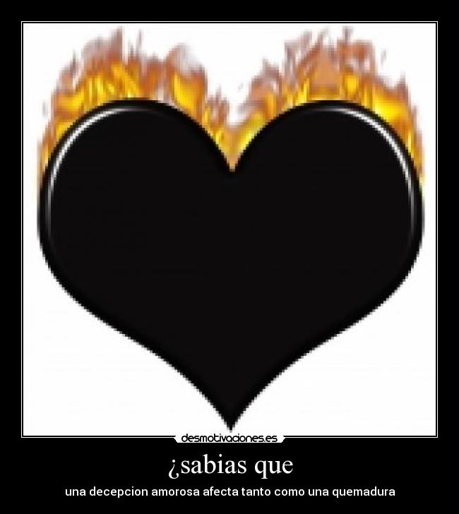 ¿sabias que - una decepcion amorosa afecta tanto como una quemadura