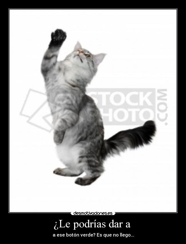 ¿Le podrías dar a -