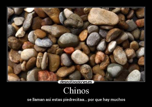 Chinos - 