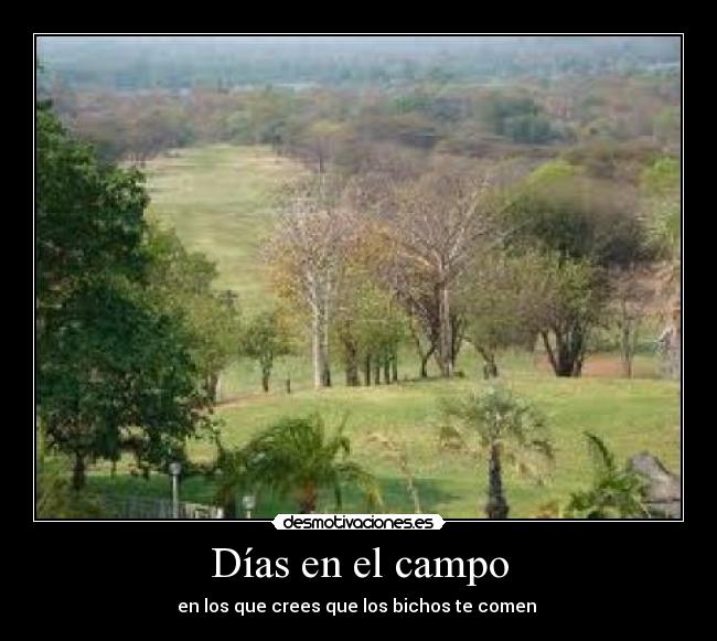 Días en el campo -