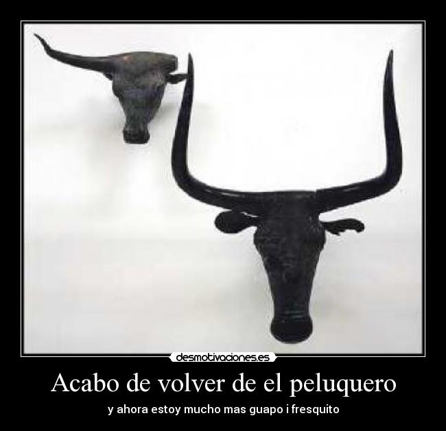 Acabo de volver de el peluquero - y ahora estoy mucho mas guapo i fresquito