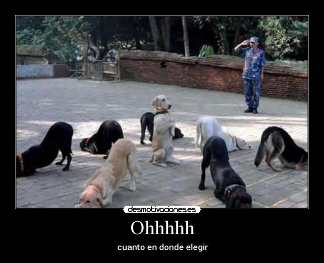 Ohhhhh - cuanto en donde elegir