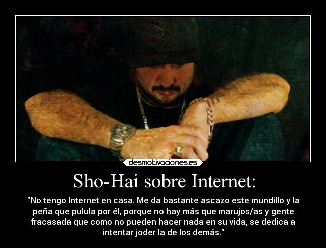 Sho-Hai sobre Internet: -