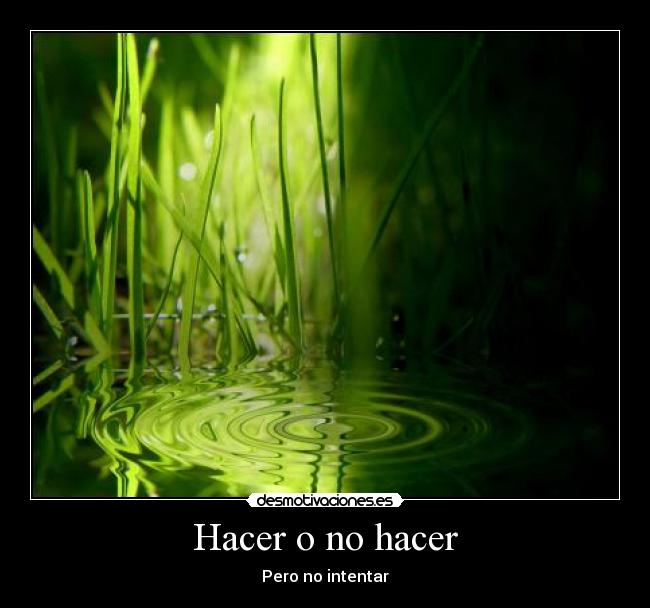 Hacer o no hacer - 