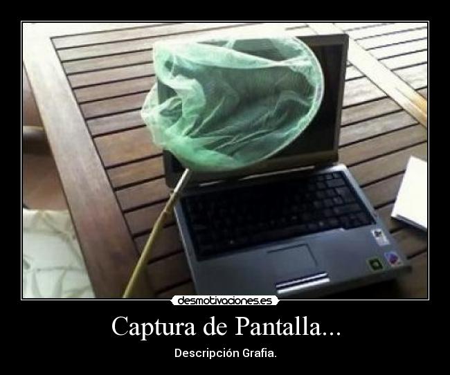 Captura de Pantalla... - 