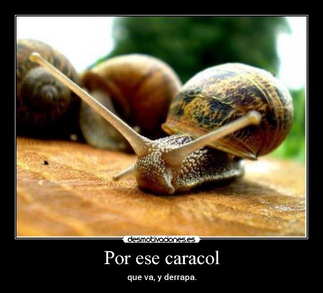 Por ese caracol - 