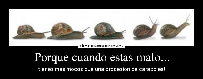 carteles caracoles desmotivaciones