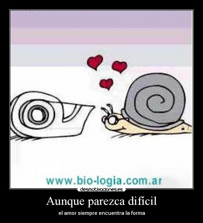 Aunque parezca difícil - 
