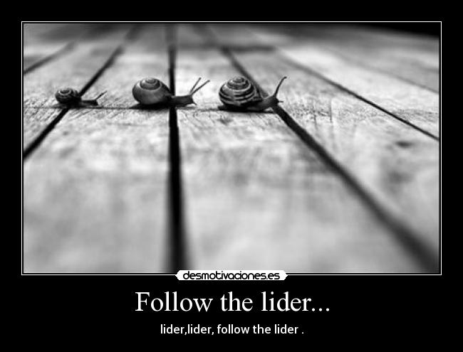 Follow the lider... -